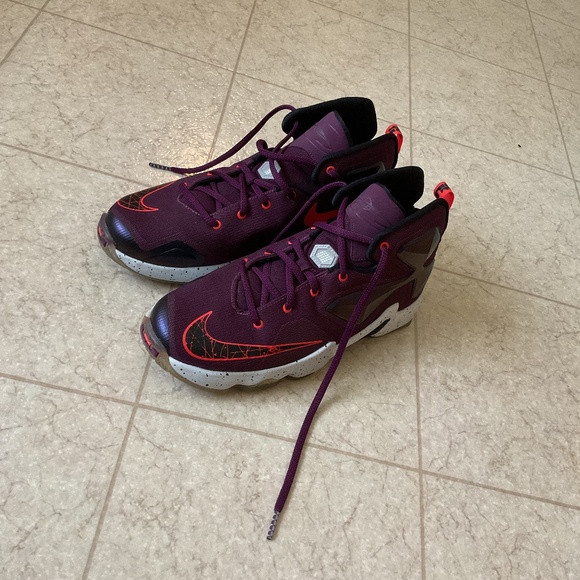 Nike Other - A pair of LeBron Sneakers